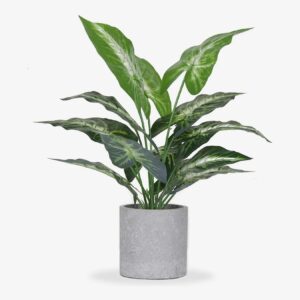 Artificial Plants (Type: Potted)