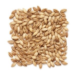 Hulled Barley