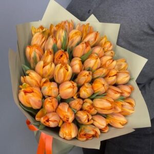 Orange Tulips (Variety: Orange Emperor)