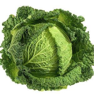 Organic Cabbage (Savoy Variety)