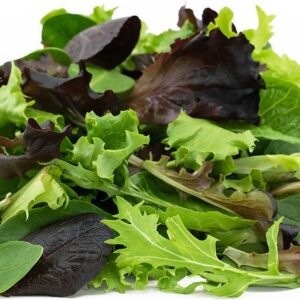 Organic Mixed Salad Greens