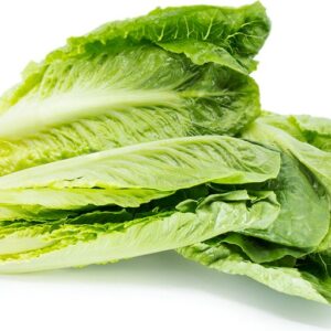 Organic Romaine Lettuce