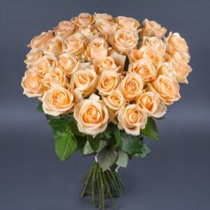 Peach Roses (Variety: Peach Avalanche)