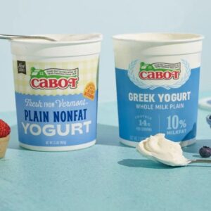 Plain Yogurt (Variety: Regular)