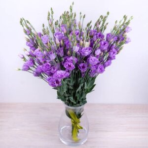 Purple Lisianthus (Variety: Echo Lavender)