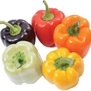 Rainbow Bell Peppers