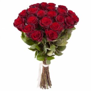 Red Roses (Variety: Grand Prix)