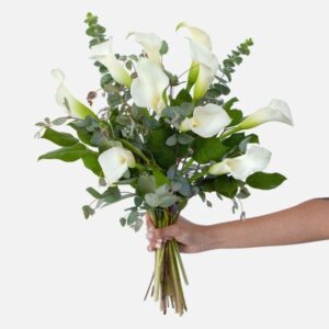 White Calla Lilies (Variety: Picasso)