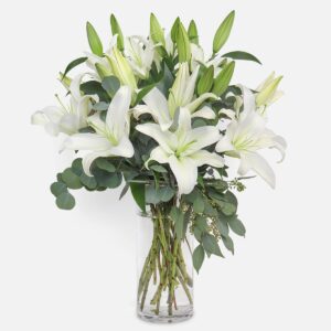 White Lilies (Variety: Casablanca)